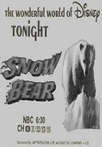 Snow Bear