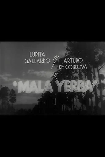 Mala Yerba
