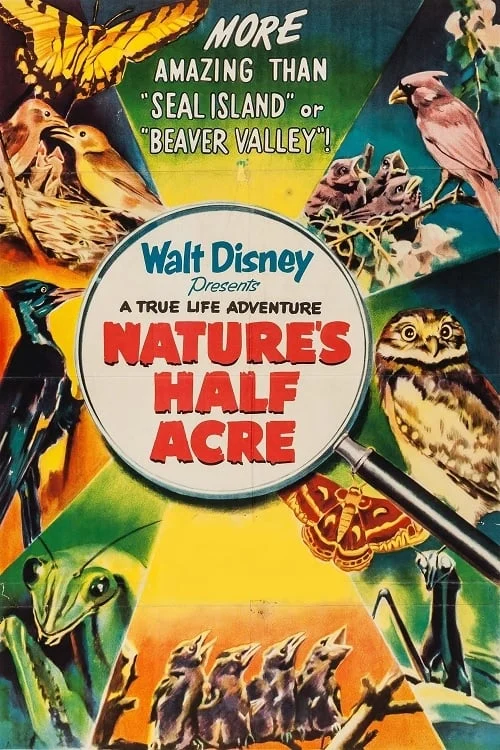 Nature’s Half Acre